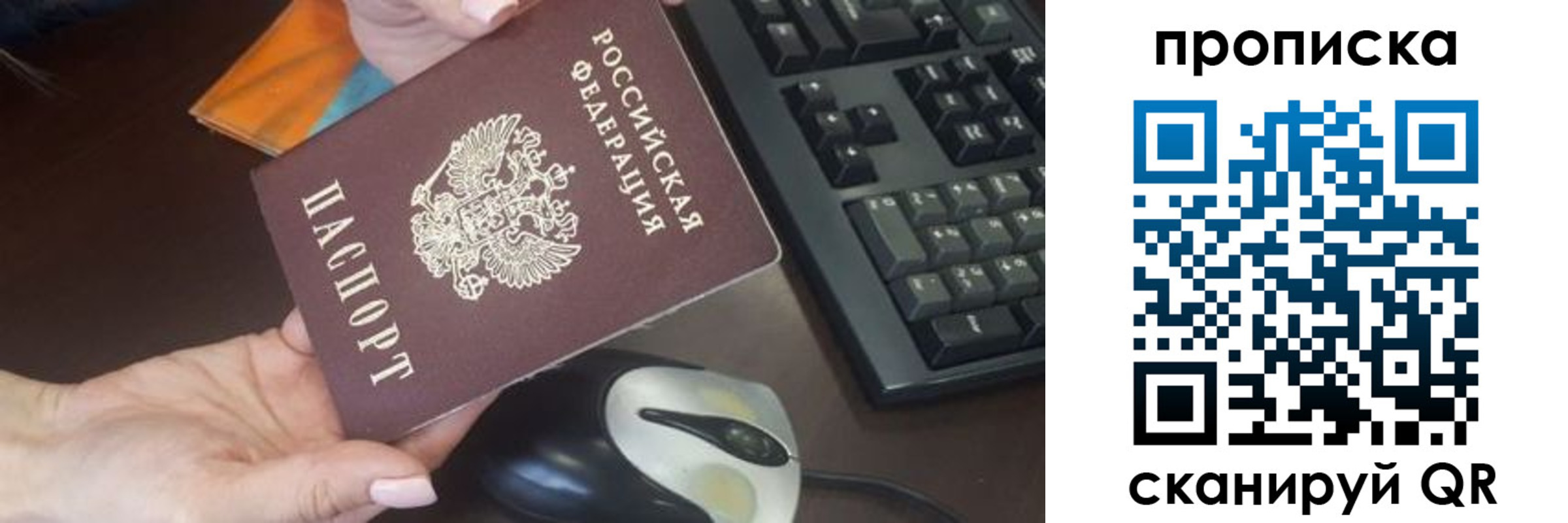 прописка гарантия в Боровичах